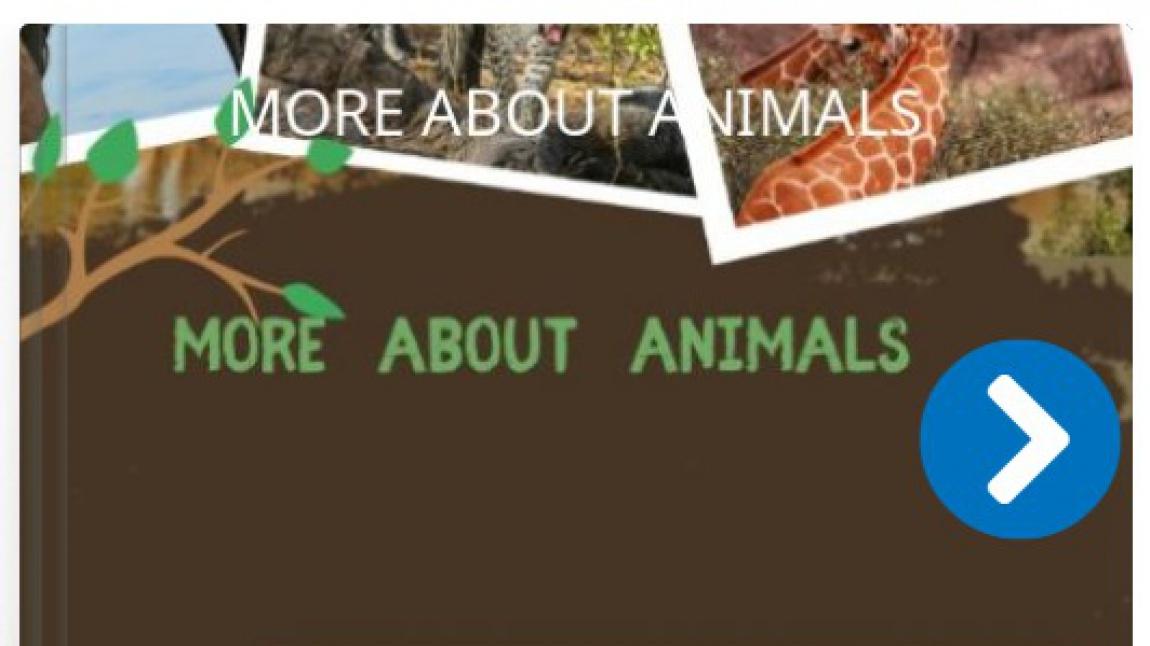 More About Animals Projesi  Öğrencilerinin  Hazırladığı e-Book